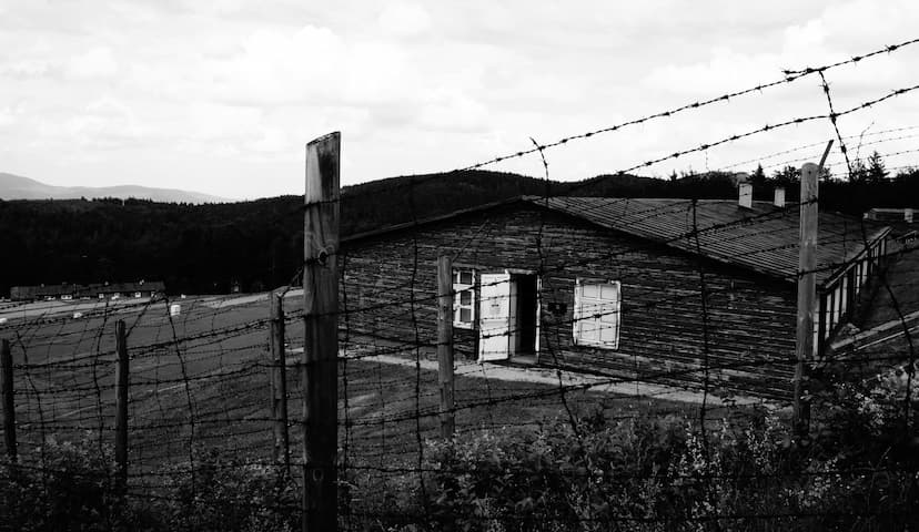 картинка к статье 12